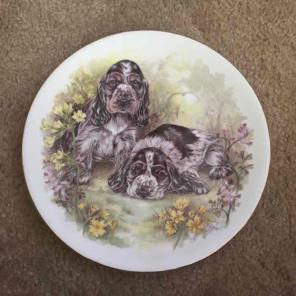 Reserved for Debbie Lea: bundle 2 plates