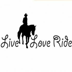 LIVE LOVE RIDE DECAL!
