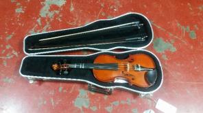 Violin