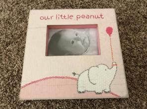 NWT Baby Girl Picture Frame
