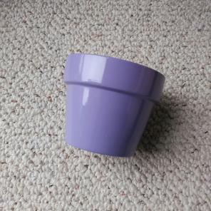 Purple Planter (succulents, cacti)