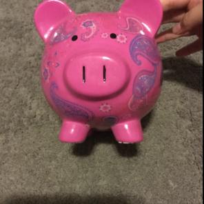 Pink And Blue Paisley Pity Bank