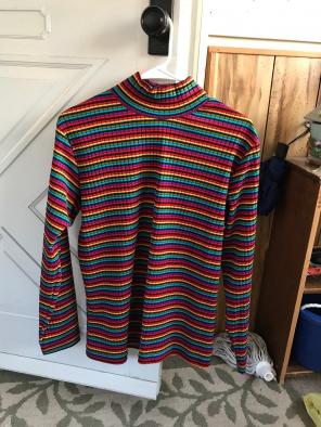 Vintage Rainbow Turtle Neck