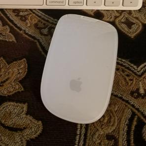 Mouse
