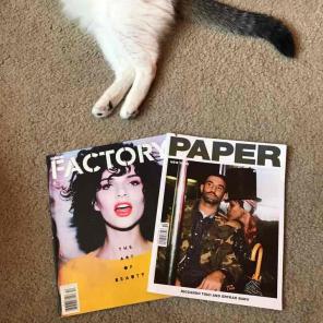 Set Of Fashion Magazines