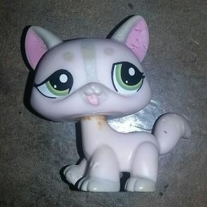 Lps cat