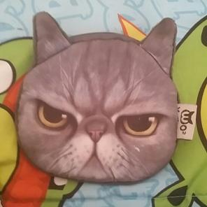 Grumpy cat money zipper pouch