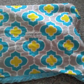 Car Seat Canopy