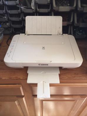 CANON Pixma MG2520 White Inkjet Printer