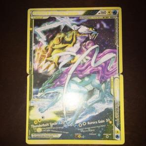 Raikou and Suicune Legend Unleashed Full