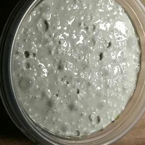 Moon slime