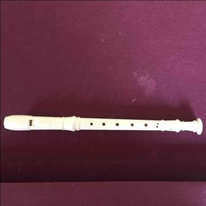 Recorder Instrument
