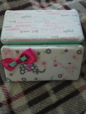 Elephant wipe case