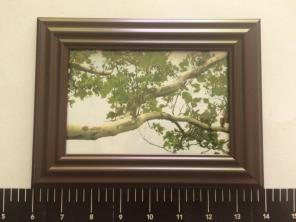 Framed Oak Branch Photo Print