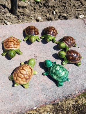 Baby ceramic Turtles