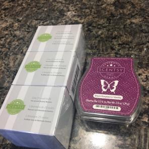Bundle Of Scentsy.
