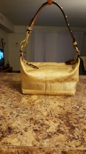Small Coach Purse
