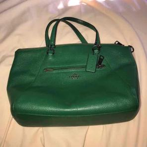Coach mini-satchel