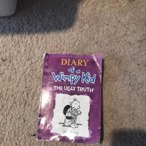 Diary Of A Wimpy Kid The Ugly Truth