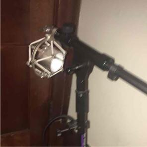Microphone