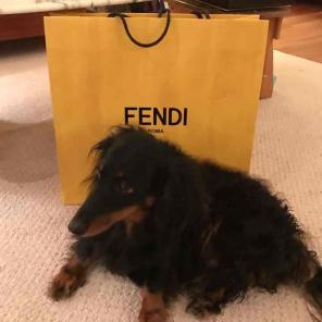 Fendi Gift Bag XL