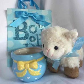 Gift for Baby Boy