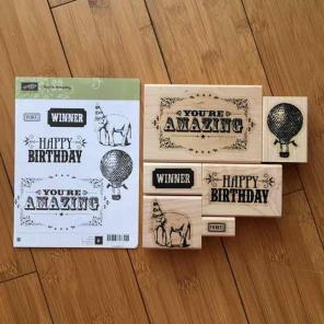 Stampin Up You're Amazing Wood Stamps