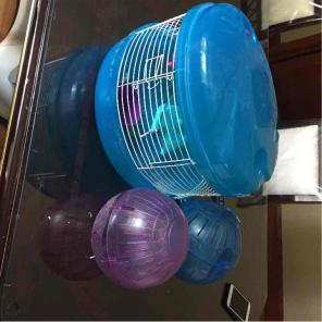 Hamster cage