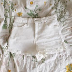 High Waisted Shorts