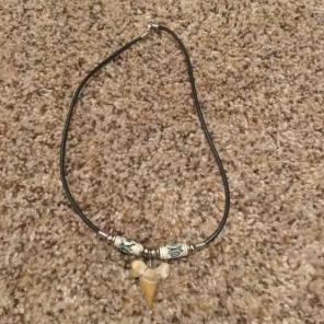 Shark tooth necklace