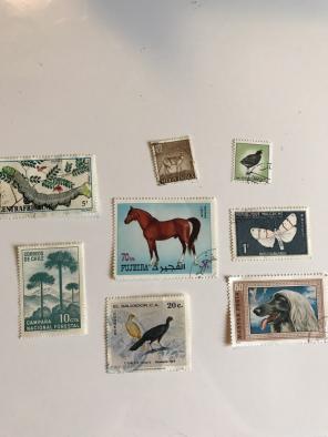 Collection Of Vintage Animal Stamps