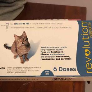 Revolution for cats
