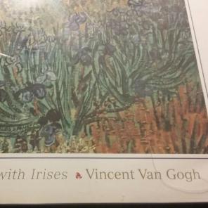 VINCENT VAN GOGH View of Arles irises