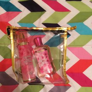 Perfume And Shower Gel Bag