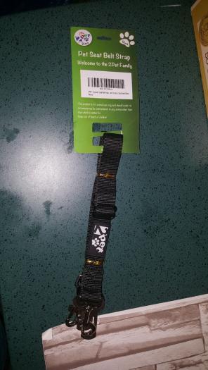 Pet seat belt