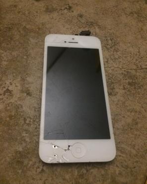 iPhone 5 Screen