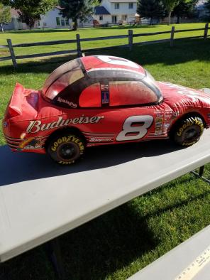 NASCAR Dale Earnhardt Jr