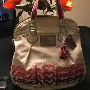 Coach Poppy Canvas Bag