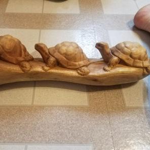 Small 3 turtles on a log