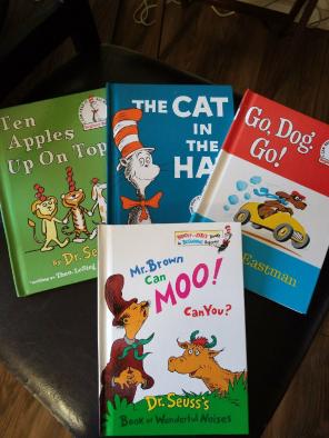 Set of 4 Books + Tissue Holder Bundle