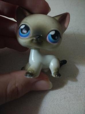 Lps Siamese