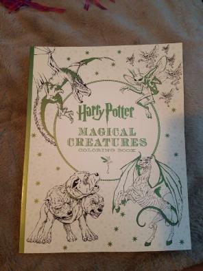 Harry Potter Coloring Book