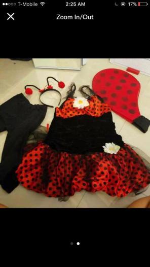 Girls Medium Lady Bug Costume