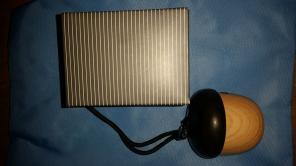 Portable bluetooth Acorn speaker