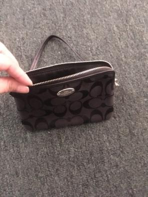 Wristlet
