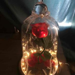Beauty and the beast rose with music