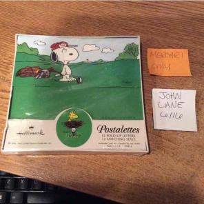 12-pk snoopy postalettes