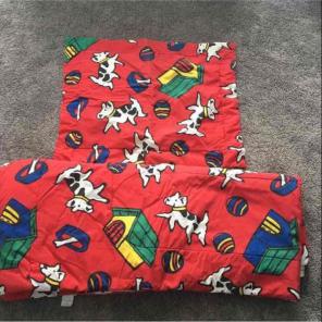 Twin Size Comforter+Sham