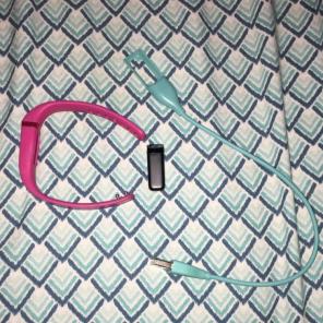 FitBit Flex With Charger And Small Band