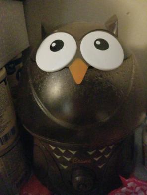 Cute Owl Humidifier